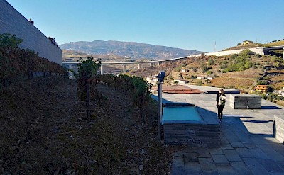 Vineyard rooftop, Régua, Portugal. Unsplash@Rui Alves