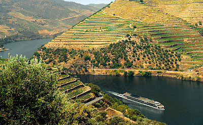 Terraced vineyards on the Douro River E-Bike & Boat Tour. © TO