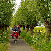 One of many lovely cycle paths in Holland | Serena | Bike & Boat