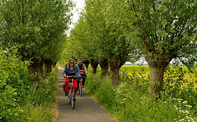 One of many lovely cycle paths in Holland | Serena | Bike & Boat