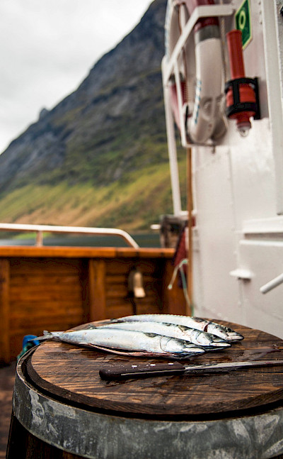 Fresh fish on the Western Fjords Norway Bike & Boat Tour