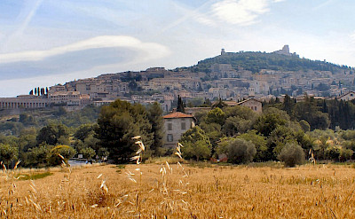 Pano of wondrous Assisi, Umbria, Italy. CC: Gunnar Bach Pedersen