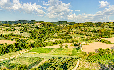 Beautiful countryside of Umbria, Italy. Flickr:Steven dosRemedios