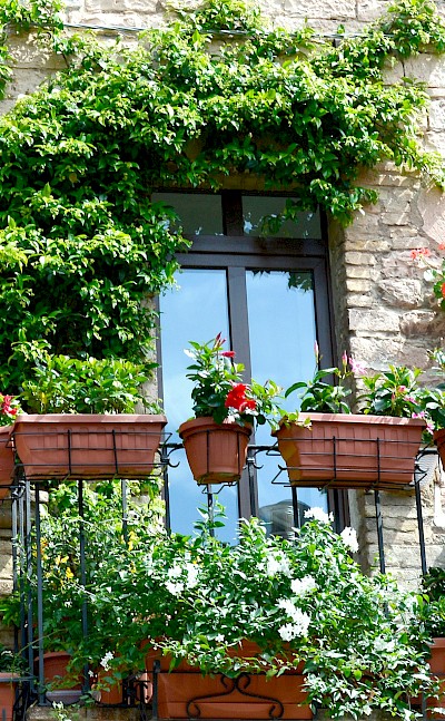 Flowerpots on railings in Assisi, Italy. Unsplash@Linda Donnelly