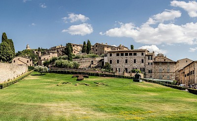 Green lawn in Assisi, Italy. Unsplash@Achim Ruhnau