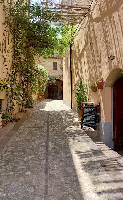 Natural canopy in Spello, Umbria walking tour, Italy. Unsplash@Csilla Monica Slezsak
