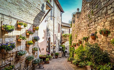 Plant pots hanging on the walls in Spello, Umbria walking tour, Italy. Unsplash@Alessandro de Marco