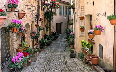 Plant pots on a street in Spello, Italy. Unsplash@Sterling Lanier