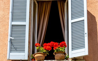 Red flowers on a windowsill in Assisi, Italy. Unsplash@Fernando Tavora