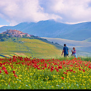 Umbria - Culinary Walking Tour - Walking in Umbria, near Assisi, in Italy. Flickr:Moyan Brenn