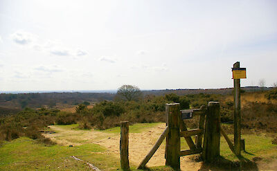 De Hoge Veluwe National Park near Arnhem, Gelderland, the Netherlands. CC:Martin D