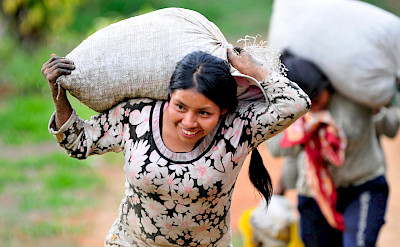 Women carrying coffee sacks in Colombia. Flickr:CIAT