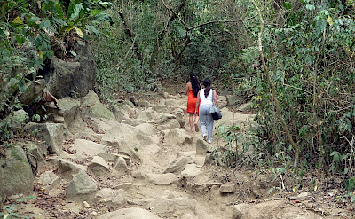 Hiking Tayrona National Park in Santa Marta, Colombia. Flickr:David Shankbone