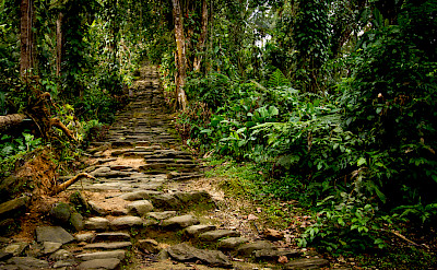 Stone staircase leading to Koguis Tribeswoman & Child at Ciudad Perdida (Lost City) of Colombia. CC:Dwayne Reilander