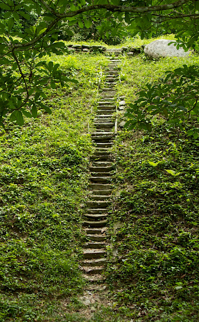 Stairs to an archeological site in Tayrona National Park, Colombia. Flickr:McKay Savage