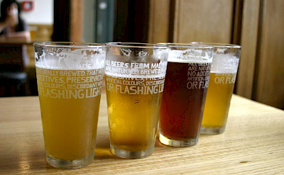 Beer tasting in New Zealand. Flickr:Brad Fults