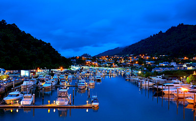 Evening lights in Picton on South Island, Marlborough, New Zealand. Flickr:Terry Goodyer 