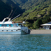 Affinity at Durville Island | New Zealand Hike & Cruise
