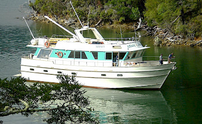 Fishing off the Affinity | New Zealand Hike & Cruise
