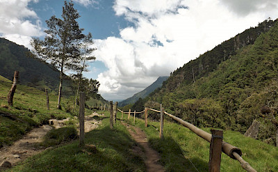Starting point for bird-watching in Los Nevados National Park in Cocora Valley, Columbia. Flickr:young shanahan 