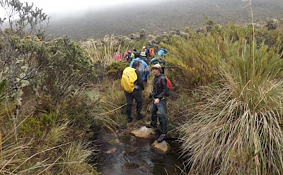 Sumapaz Páramo in Colombia. Flickr:young shanahan