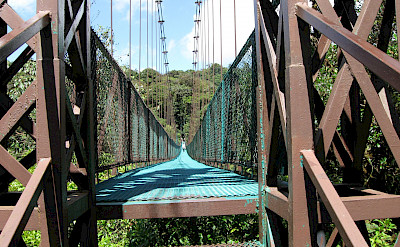Bridge at the Monteverde Cloud Forest in Costa Rica. Flickr:Benet2006