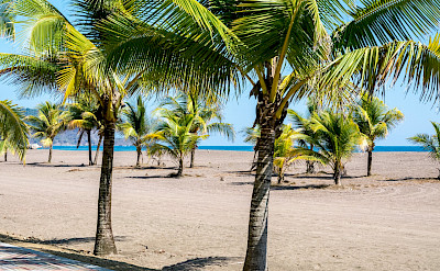 Jacó Beach in Costa Rica. Flickr:dconvertini