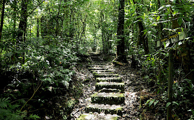 Monteverde Cloud Forest in Costa Rica. Flickr:Peter Hook