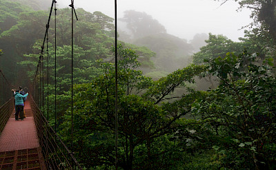 Monteverde Cloud Forest in Costa Rica. Flickr:Eugene_o