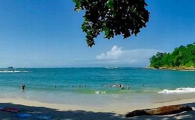 Playa Manuel Antonio National Park in Costa Rica. Flickr:delventhal