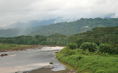 Tárcoles River in Costa Rica. Flickr:Robert Lesser