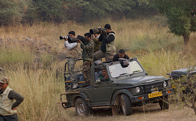 Safari in Ranthambore National Park in India. Flickr:JULIAN MASON