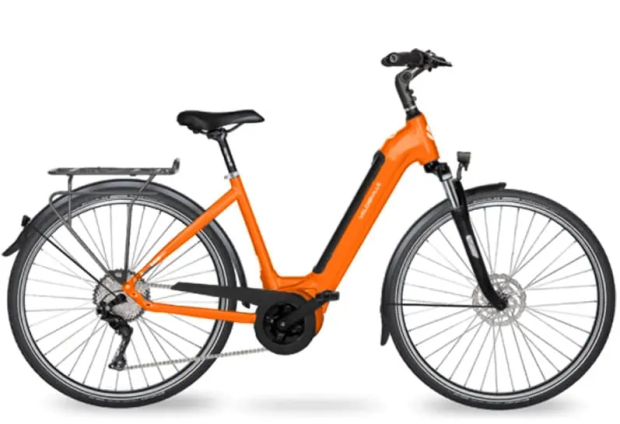 E-bike - customised FOCUS