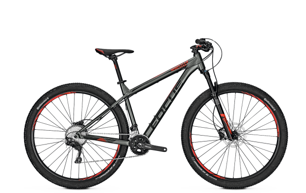 Mountain Bike - customised FOCUS Whistler