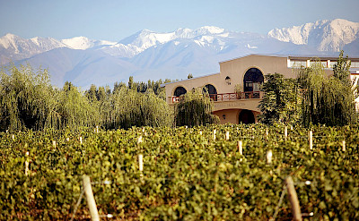 Wine estate in Argentina. Flickr:Fabio Ingrosso