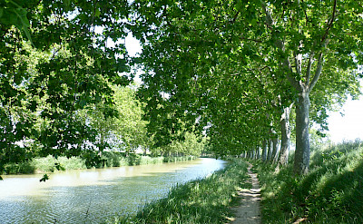 Tow path along the river in Homps, France. Flickr:Lisa Stevens