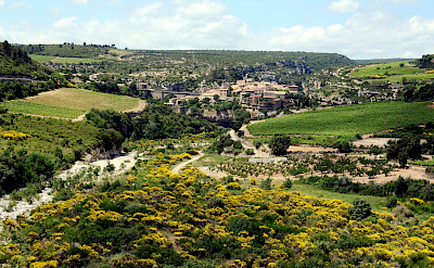 The famous Minervois wine region of France! CC:BlueBreezeWiki 