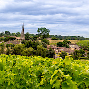 Bordeaux - Serignac to Castets-en-Dorthe - Château d'Arche in Sauternes, Gironde, France. Flickr:Alberto Cruz