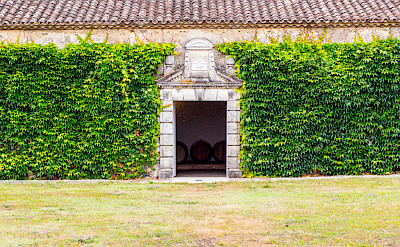 Wine barrels at Château d'Arche in Sauternes, Gironde, France. Flickr:Alberto Cruz