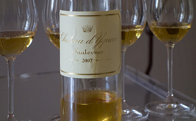 Sauternes wine from Château d'Yquem is highly classified: <i>Premier Cru Supérieur</i> in southern Bordeaux, France. Flickr:Graeme Churchard