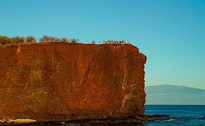 Guests hiking on Lanai, Hawaii. ©TO 20.814147, -156.985016