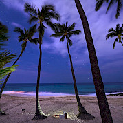 Hawaii Island-Hopping Adventure - Evening on the Bay in Hawai'i. CC:Steevven1 19.276154, -155.125765