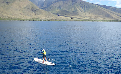 Stand up paddleboarding near Maui, Hawaii. ©TO
