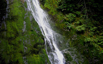 Waterfall in Olympic National Park, Washington. Flickr:Moonjazz 47.726823, -123.48186