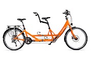 Adult tandem bike
