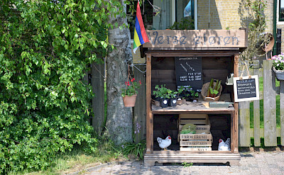 Fresh eggs for sale in Friesland, the Netherlands. ©TO