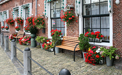 Beautiful brick architecture & flowers in Sneek, Friesland, the Netherlands. Flickr:bert knottenbeld