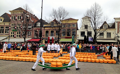 The famous cheese market in Alkmaar, North Holland, the Netherlands. ©TO