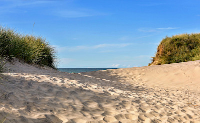Sand dunes along the North Sea Coast in the Netherlands. ©TO