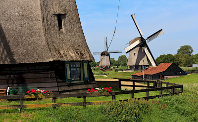 Cycling past countless windmills in the Netherlands. ©TO